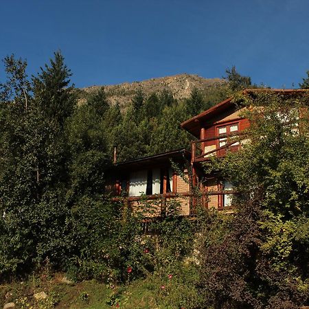 Criollo Lodge Hoyo de Epuyén エクステリア 写真