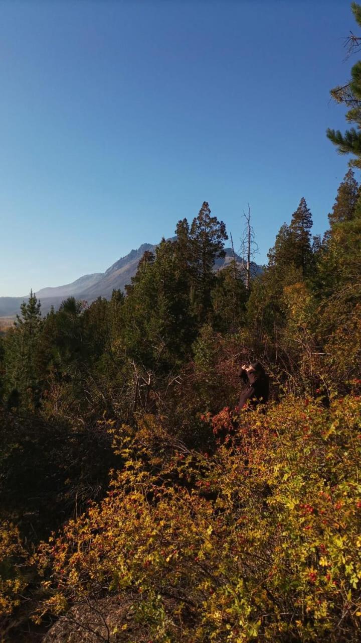 Criollo Lodge Hoyo de Epuyén エクステリア 写真